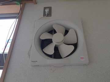 ���s�{���撆����ݎ������E�X�܂̎����ʐ^